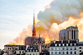 France, Paris, area listed as World Heritage by UNESCO, Ile de la Cite, Notre-Dame Cathedral, the big fire that ravaged the cathedral on April 15, 2019
