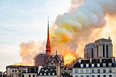 France, Paris, area listed as World Heritage by UNESCO, Ile de la Cite, Notre-Dame Cathedral, the big fire that ravaged the cathedral on April 15, 2019