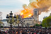 France, Paris, area listed as World Heritage by UNESCO, Ile de la Cite, Notre-Dame Cathedral, the big fire that ravaged the cathedral on April 15, 2019