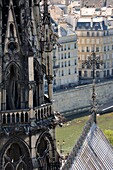 France, Paris, area listed as World Heritage by UNESCO, Ile de la Cite, Notre Dame Cathedral, the arrow