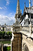 France, Paris, area listed as World Heritage by UNESCO, Ile de la Cite, Notre Dame Cathedral, one of the clocks
