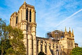 Frankreich, Paris, von der UNESCO zum Weltkulturerbe erklärtes Gebiet, Ile de la Cite, Kathedrale Notre Dame nach dem Brand vom 15. April 2019