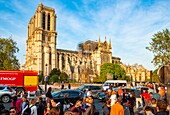 France, Paris, area listed as World Heritage by UNESCO, Ile de la Cite, Notre Dame Cathedral after the fire of April 15, 2019