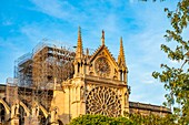 Frankreich, Paris, von der UNESCO zum Weltkulturerbe erklärtes Gebiet, Ile de la Cite, Kathedrale Notre Dame nach dem Brand vom 15. April 2019