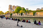 France, Paris, area listed as World Heritage by UNESCO, Ile de la Cite, Notre Dame Cathedral after the fire of April 15, 2019