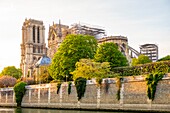 France, Paris, area listed as World Heritage by UNESCO, Ile de la Cite, Notre Dame Cathedral after the fire of April 15, 2019