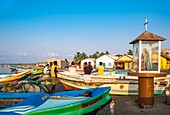 Sri Lanka, Northern province, Mannar island, Mannar city, the fishing harbour