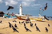 Sri Lanka, Northern province, Mannar island, Thalaimannar village, the beach and lighthouse