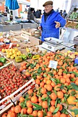 Italy, Basilicata, Matera, European Capital of Culture 2019, Piazza Marconi, market, local fruit and vegetable seller