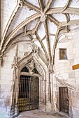 France, Lot, Quercy, Cahors, cloister of Saint Etienne Cathedral, listed as World Heritage by UNESCO, Lot valley