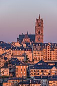 Frankreich, Aveyron, Rodez, Kathedrale Notre Dame de Rodez, aufgelistet in der Liste der großen Sehenswürdigkeiten in Okzitanien