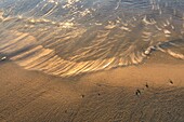 France, Var, Bormes les Mimosas, Bregancon Beach, Cabasson Bay