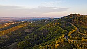 France, Var, Tanneron Massif, Tanneron, Mimosa road (aerial view)