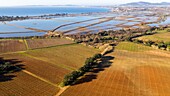 Frankreich, Var, La Londe Les Maures, Schlossgut Le Bastidon, AOP Cotes de Provence, Salz von Hyeres im Hintergrund (Luftaufnahme)