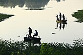 France, Vaucluse, Caderousse, fishermen on the lone upstream of the Caderousse Dam