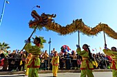 Frankreich, Alpes Maritimes, Mandelieu la Napoule, Mimosenfest