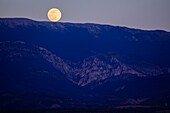 France, Alpes de Haute Provence, Verdon Regional Nature Park, Plateau de Valensole, full moon above Saint Jurs