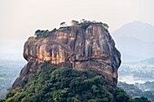 Sri Lanka, Central province, Sigiriya, view from Pidurangala rock over the Lion Rock, archaeological site of the former Sri Lankan royal capital, a UNESCO World Heritage Site