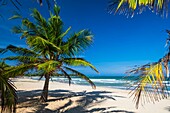 Sri Lanka, Eastern province, Trincomalee (or Trinquemalay), Uppuveli beach