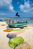 Sri Lanka, Nordprovinz, Halbinsel Jaffna, Point Pedro ist eine Stadt am nördlichsten Punkt der Insel, Kirche Saint Thomas
