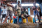 Sri Lanka, Nordprovinz, Jaffna, Fischmarkt in der Nähe des Fischereihafens