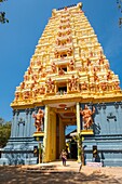 Sri Lanka, Nordprovinz, Jaffna, Keerimalai, Keerimalai Naguleswaram Hindu-Tempel, Shiva gewidmet