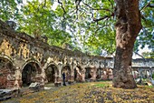 Sri Lanka, Nordprovinz, Jaffna, Alter Park, Ruinen des von den Briten erbauten Old Kachchery oder Bezirkssekretariats