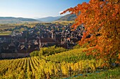 Frankreich, Haut Rhin, Route des Vins d'Alsace, Riquewihr, Beschriftung Die schönsten Dörfer Frankreichs