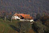 Frankreich, Haut Rhin, Sainte Marie aux Mines, Ehemaliger mennonitischer Bauernhof auf den Höhen von Sainte Marie aux Mines, Jetzt ein Ferienhaus Am Oree des Biches, 49 Petit Haut, 68160 Sainte Marie aux Mines