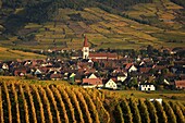 France, Haut Rhin, Route des Vins d'Alsace, Ammerschwihr is a village located on the Route des Vins d'Alsace, Its main economic resources are viticulture and especially its famous Kaefferkopf (hill producing high quality grapes)