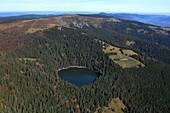 Frankreich, Haut Rhin, der Grüne See oder Soultzeren-See ist ein kleiner See auf der elsässischen Seite der Vogesen im Tal von Munster, er liegt am Fuße des Tanet-Massivs (Luftaufnahme)