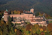 Frankreich, Bas Rhin, die Obere Königsburg an den Ausläufern der Vogesen und mit Blick auf die Ebene des Elsass, mittelalterliche Burg aus dem 12. Jahrhundert, Es ist als historisches Denkmal (Luftaufnahme)
