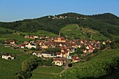 Frankreich, Haut Rhin, Route des Vins d'Alsace, Niedermorschwihr, Gesamtansicht der Weinberge und des Dorfes