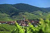 Frankreich, Haut Rhin, Route des Vins d'Alsace, Ammerschwihr, Gesamtansicht der Weinberge und des Dorfes