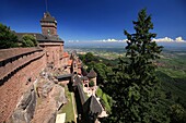 Frankreich, Bas Rhin, Route des Vins d'Alsace, Orschwiller, Schloss Haut Koenigsbourg