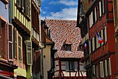 France, Haut Rhin, Colmar, glazed tiles and half timbering Rue des Marchands in Colmar