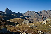 Frankreich, Hautes Alpes, Queyras-Massiv, Saint Veran, beim Aufstieg zum Pass von Saint Veran und der Spitze von Toilies (3175m)