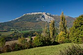France, Isere, Trieves, the Peyrouses and the crest of the rocks of Gresse mountain (1808m)