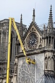 Frankreich, Paris, von der UNESCO zum Weltkulturerbe erklärtes Gebiet, Ile de la Cite, Kathedrale Notre Dame nach dem Brand vom 15. April 2019