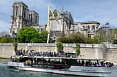 Frankreich, Paris, von der UNESCO zum Weltkulturerbe erklärtes Gebiet, Ile de la Cite, Kathedrale Notre Dame nach dem Brand vom 15. April 2019