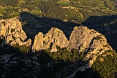Frankreich, Vaucluse, oberhalb von Gigondas, Dentelles de Montmirail