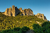 France, Vaucluse, above Gigondas, Dentelles de Montmirail