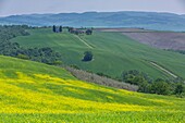 Italien, Toskana, Bezirk Siena, Orcia-Tal, von der UNESCO zum Weltkulturerbe erklärt, Hügel