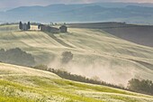 Italien, Toskana, Val d'Orcia, von der UNESCO zum Weltkulturerbe erklärt, Landschaft bei Pienza, die di cappella Vitaleta