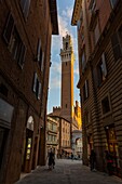 Italy, Tuscany, Siena, historic center listed as World Heritage by UNESCO, panorama of the old town and Torre del Mangia