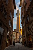 Italien, Toskana, Siena, Altstadt, von der UNESCO zum Weltkulturerbe erklärt, Panorama der Altstadt und Torre del Mangia