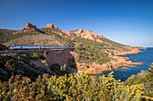 France, Var, Saint Raphael, littoral road of the Corniche d'Or, a TGV train passes on the track of the railway above the calanque of Petit Caneiret in Antheor, in the background the Esterel massif and the peaks of the Cap Roux