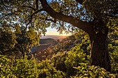 Frankreich, Var, Frejus, Sonnenuntergang über dem Esterel-Gebirge