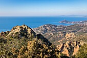 France, Var, Saint Raphael, Esterel massif, seen since the Cape Roux on the coast of the Corniche of Esterel, the cove of Antheor, the bay of Agay and the Cap du Dramont