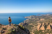 France, Var, Saint Raphael, Esterel massif, seen since the Cape Roux on the coast of the Corniche of Esterel, the cove of Antheor, the bay of Agay and the Cap du Dramont